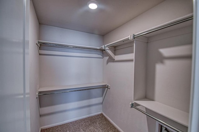 walk in closet featuring carpet