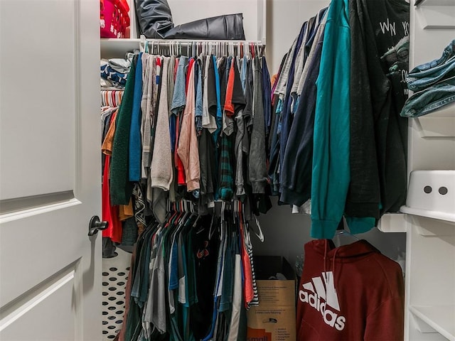 view of walk in closet