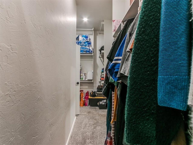 spacious closet with carpet floors