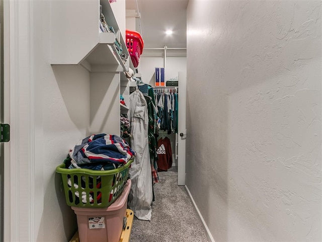 walk in closet with carpet floors