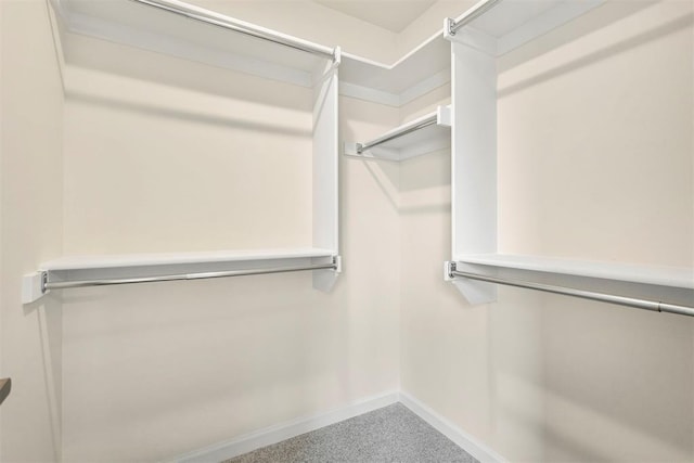 walk in closet featuring carpet flooring