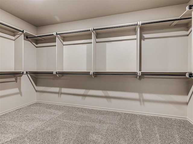 spacious closet with carpet