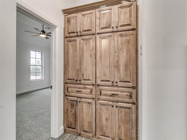 room details with ceiling fan and carpet flooring