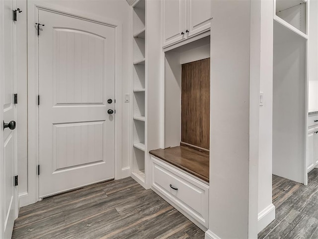 mudroom with dark wood-type flooring