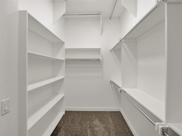 spacious closet with carpet flooring