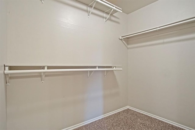 walk in closet with carpet