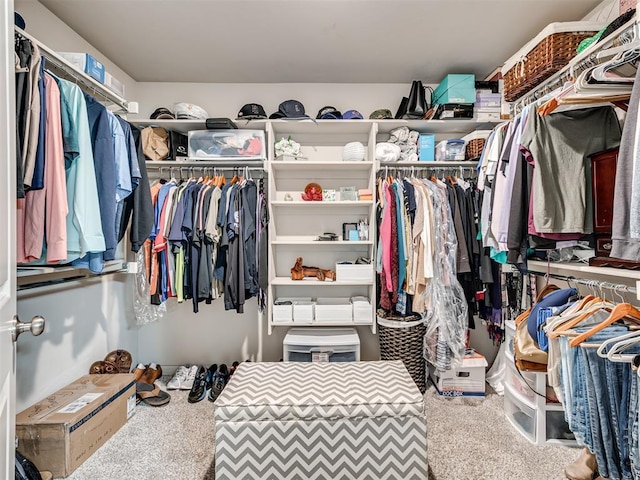 spacious closet with carpet flooring