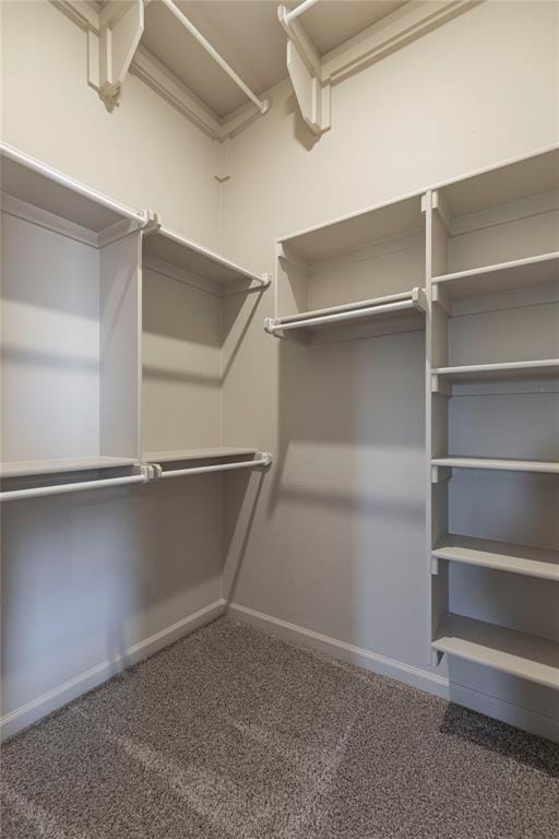 spacious closet with carpet flooring