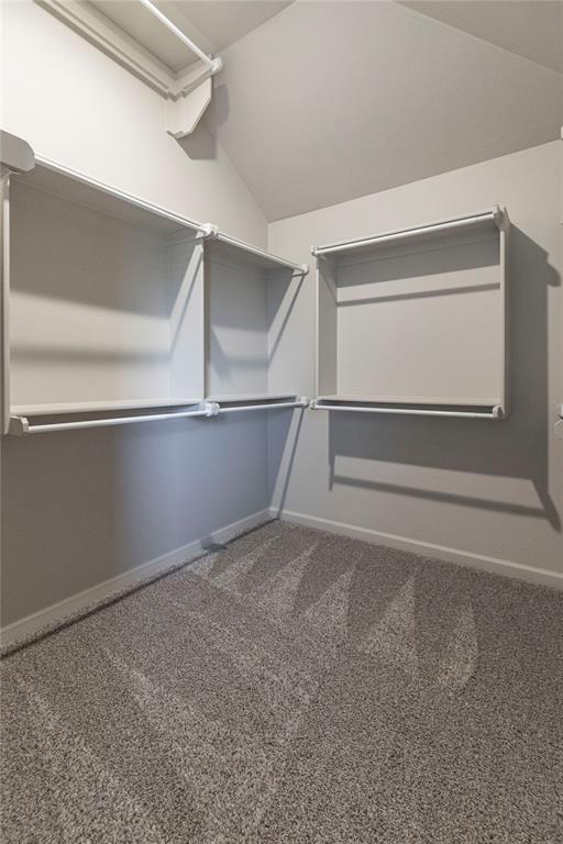 spacious closet featuring vaulted ceiling and carpet