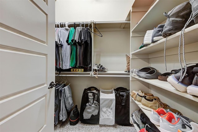 spacious closet featuring carpet