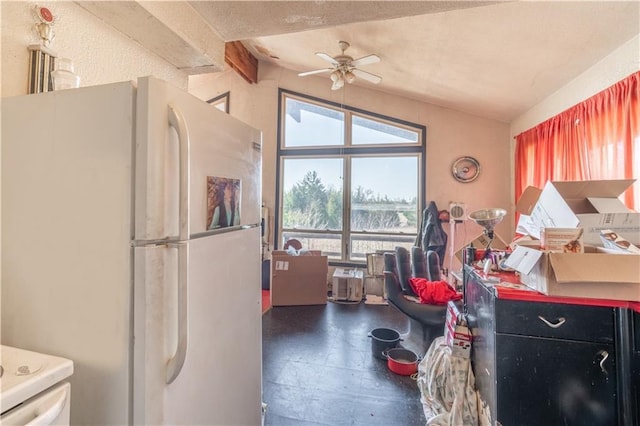 misc room with lofted ceiling and ceiling fan