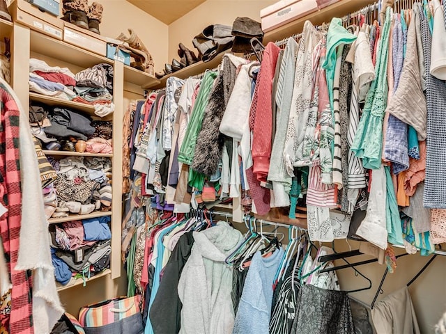 view of spacious closet