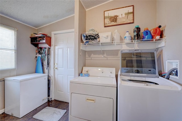 laundry area featuring dark hardwood / wood-style flooring, separate washer and dryer, ornamental molding, and a textured ceiling