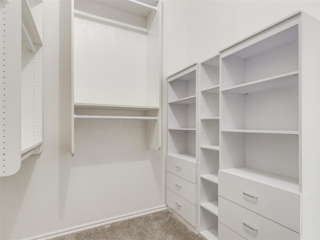 walk in closet featuring light carpet