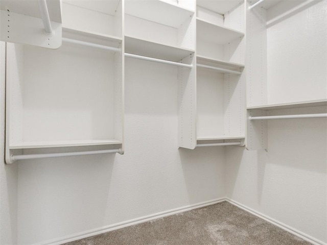 walk in closet featuring carpet