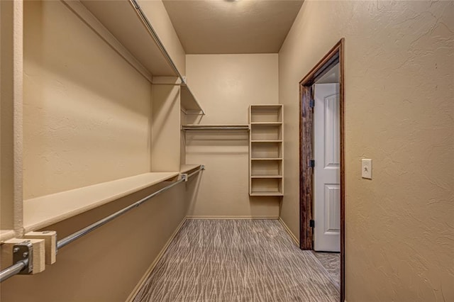 walk in closet featuring carpet flooring