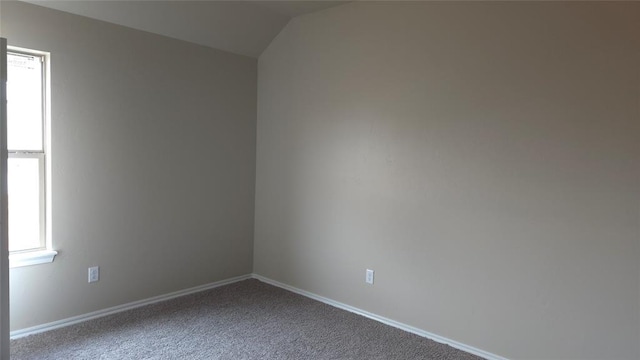 spare room featuring carpet floors