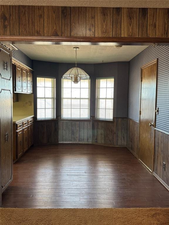 unfurnished dining area featuring dark hardwood / wood-style floors and wood walls