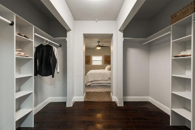 walk in closet with dark wood-type flooring and ceiling fan