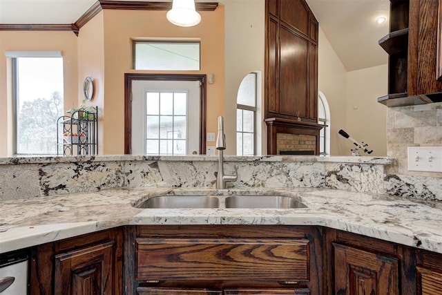 kitchen featuring stainless steel dishwasher, sink, dark brown cabinets, and a wealth of natural light