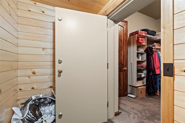 interior space with carpet flooring and wood walls