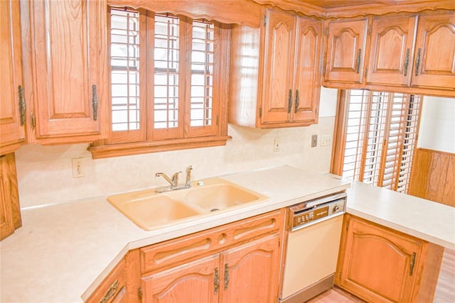 kitchen with sink and white dishwasher