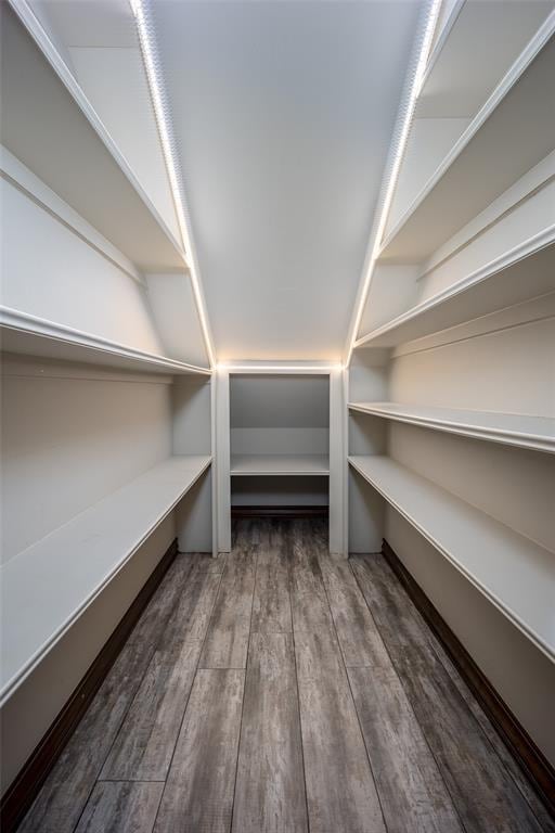 spacious closet with dark hardwood / wood-style flooring