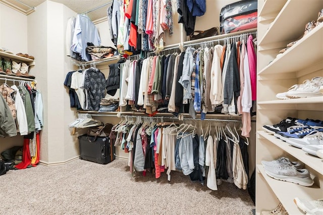 walk in closet featuring carpet floors