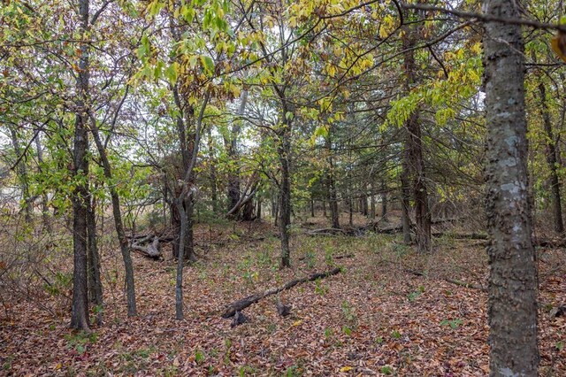 2 S 4420th Rd, Adair, OK 74301 - photo 21