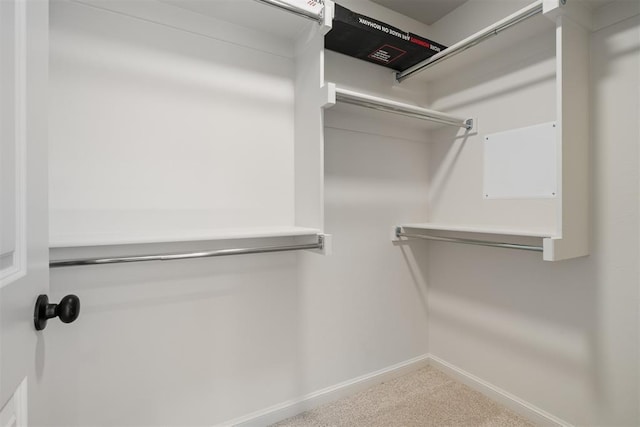 spacious closet with carpet floors