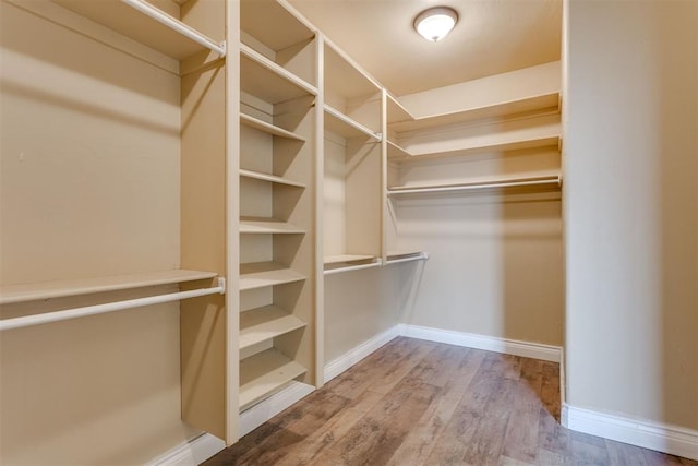 spacious closet with hardwood / wood-style flooring