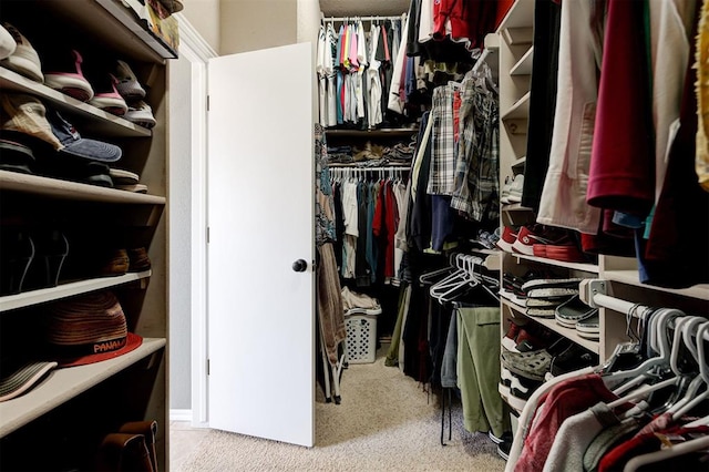 spacious closet featuring carpet