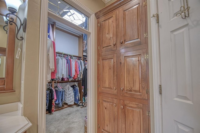 3225 Cotswold Sq, Norman, OK 73072 - walk in closet featuring light carpet
