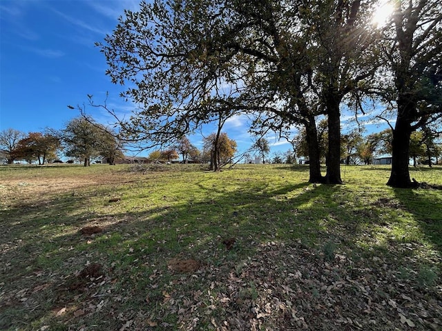 view of nature featuring a rural view