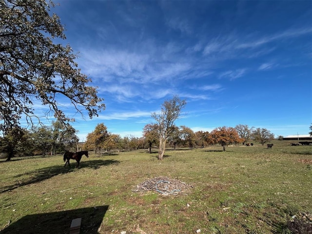 view of yard featuring a rural view