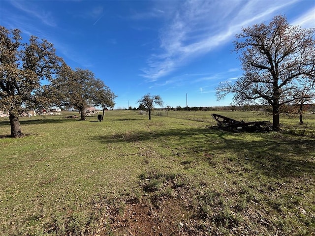 view of yard featuring a rural view