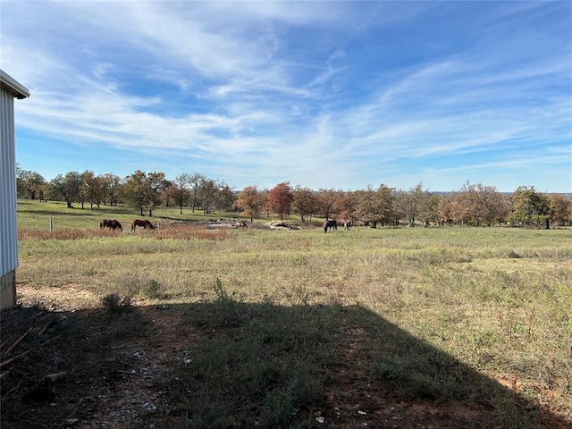 view of yard featuring a rural view