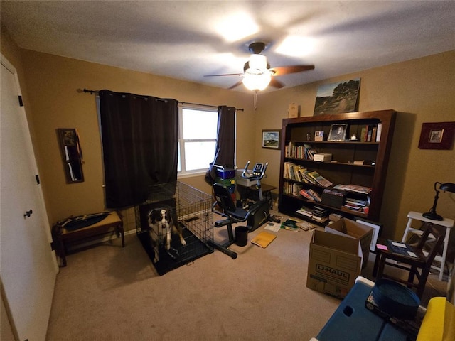 office space with ceiling fan and carpet flooring