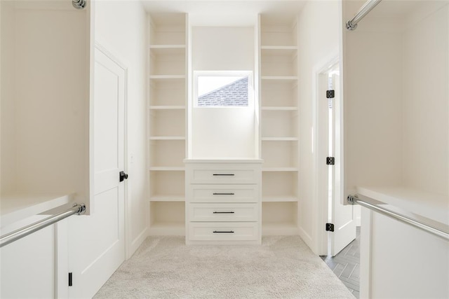 view of spacious closet