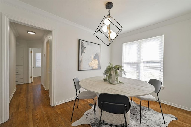 dining room with dark wood-type flooring, ornamental molding, and a wealth of natural light