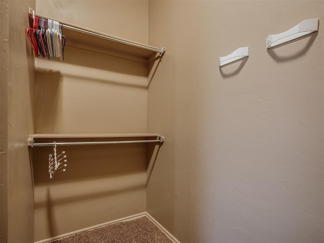 spacious closet featuring carpet