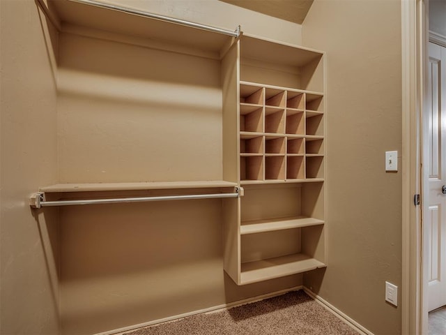 spacious closet featuring carpet