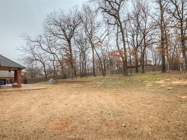 view of yard with a patio area