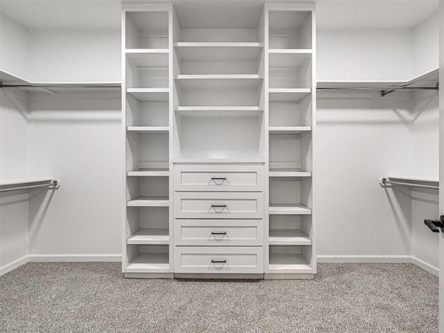 walk in closet with light colored carpet