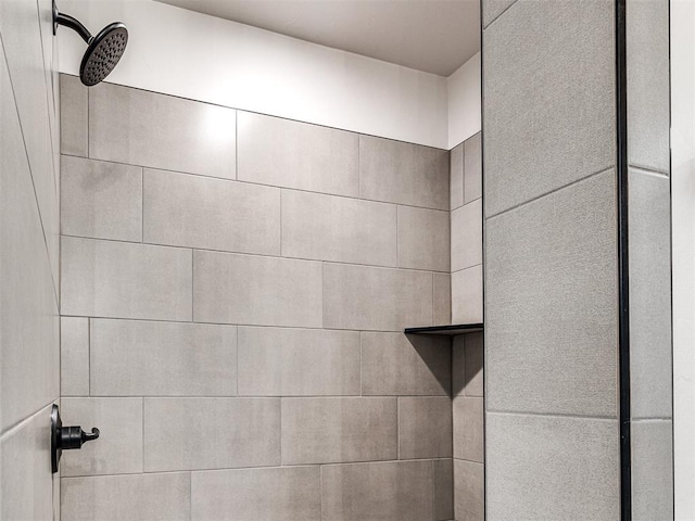 interior details with tiled shower