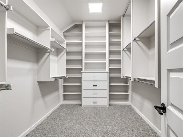 walk in closet featuring carpet flooring