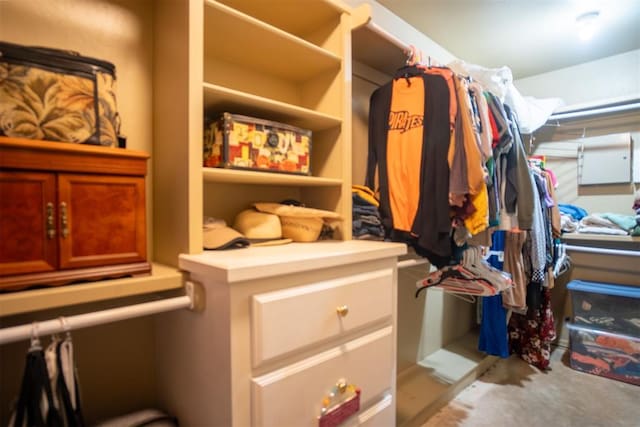 view of spacious closet