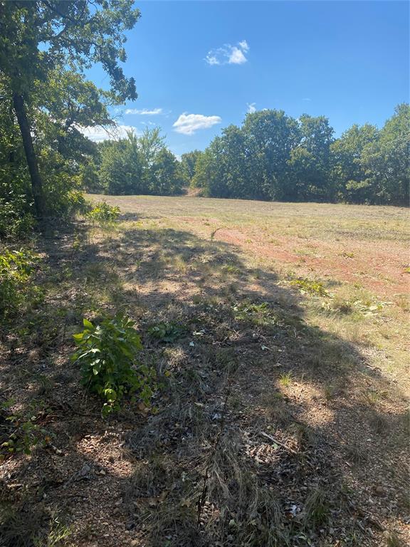 44335 Tooley Rd, Asher OK, 74826 land for sale