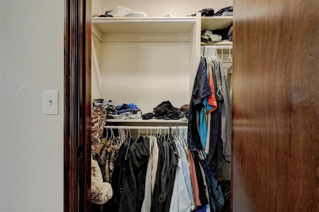 view of closet