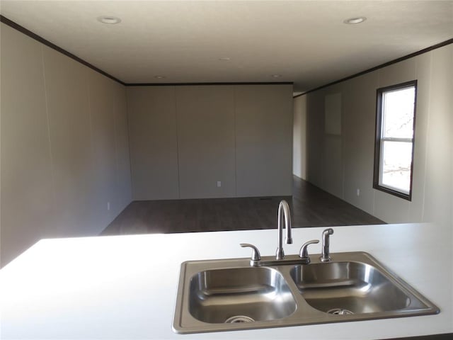 kitchen with crown molding and sink